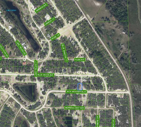 462 Jack Weisser Blvd, Lake Placid, FL 33852