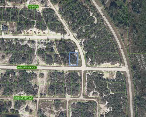 472 Jack Weisser Blvd, Lake Placid, FL 33852