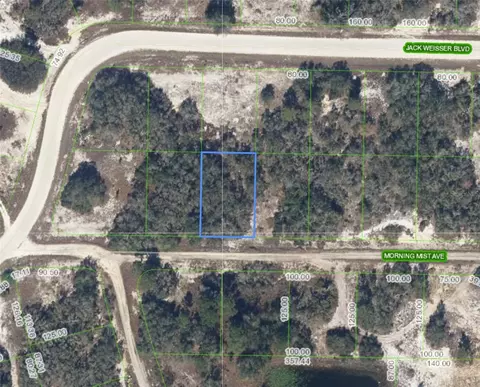 504 Morning Mist Ave, Lake Placid, FL 33852