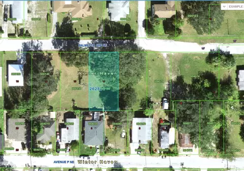 Palmetto Avenue Ne, Winter Haven, FL 33881