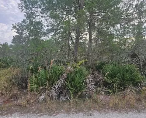 2225 Algonquin Dr, Sebring, FL 33875 photo 4