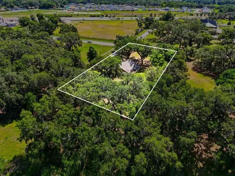View/Area - 2341 Ef Griffin Rd, Bartow, FL 33830 photo 4 of 5