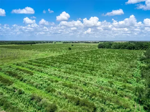 0 Stephens Rd, Wauchula, FL 33873 photo 3