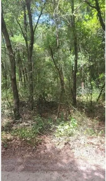 Southwest 156th Place, Dunnellon, FL 34432