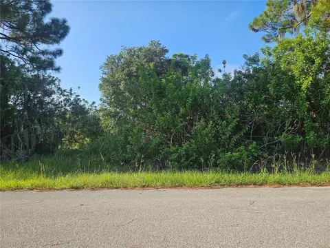 251 Sunbeam Ct, Lake Placid, FL 33852