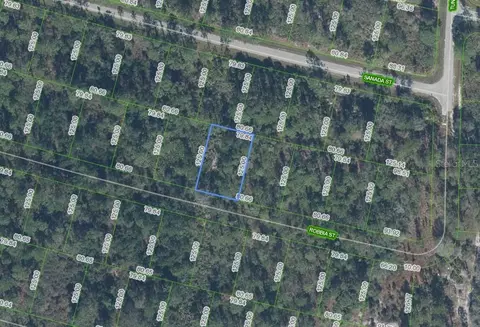 8604 Robbia St, Sebring, FL 33872 photo 2