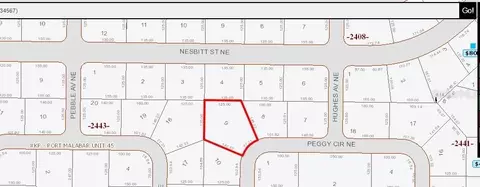 335 NE Peggy Cir NE, Palm Bay, FL 32907