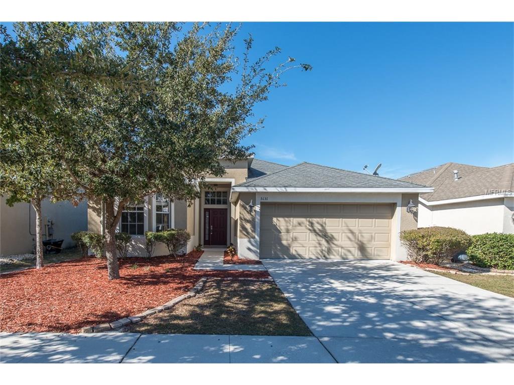 5131 Clover Mist Dr, Apollo Beach, FL 33572 photo 1