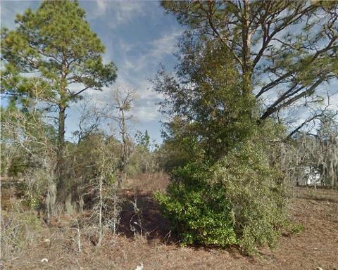 1011 NE Boros Dr, Williston, FL 32696 photo 1