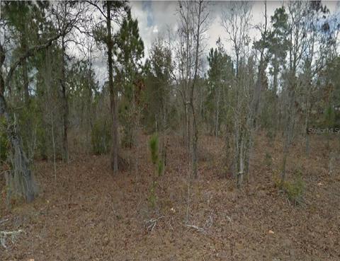 115 Lima St, Interlachen, FL 32148 photo 1