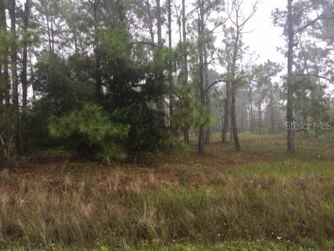 808 Selma Ave, Interlachen, FL 32148 photo 1