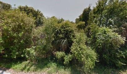 5500 Styrax Pl, Sebring, FL 33875 photo 1