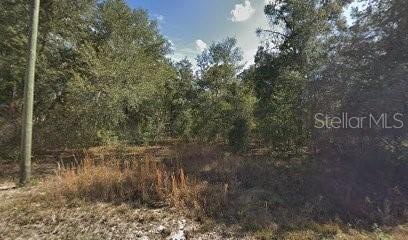 34212 Corace Ct, Webster, FL 33597 photo 1