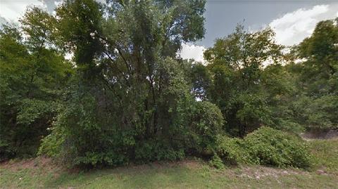 3888 E Peggy St, Hernando, FL 34442 photo 1