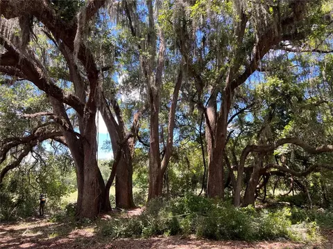 17364 SW 11 Ct, Newberry, FL 32669