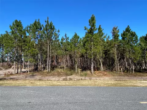 2988 SW Cr 534, Mayo, FL 32066