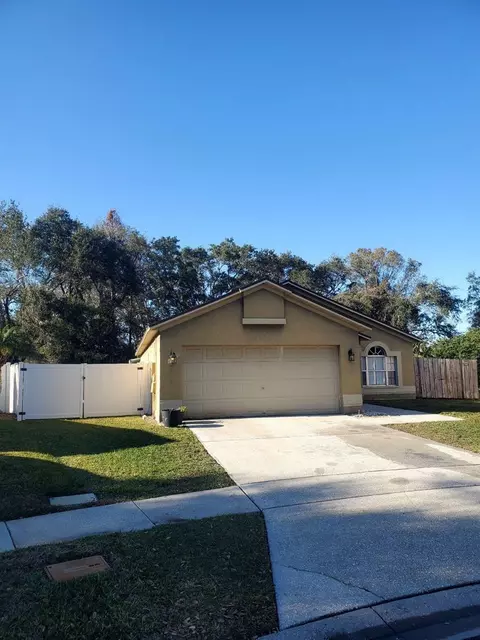 1711 Elk Spring Dr, Brandon, FL 33511