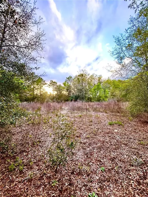 Tbt Sw 140th Ave, Ocala, FL 34481