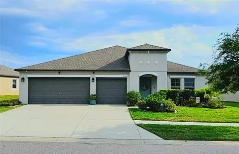 10209 Cakebread Ln, Riverview, FL 33578 photo 1