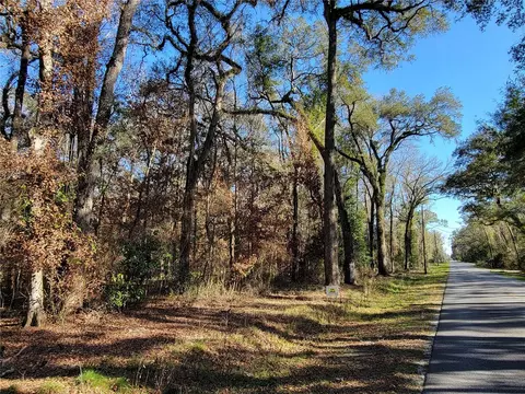 SW Newark Drive, Fort White, FL 32038