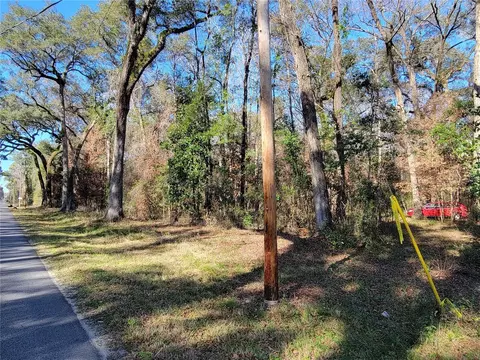 SW Newark Drive, Fort White, FL 32038