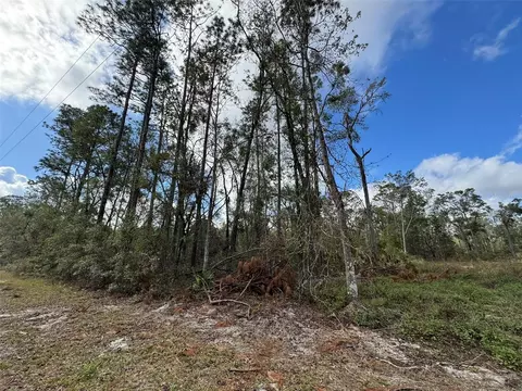 143 Rd Dr, O Brien, FL 32071 photo 3