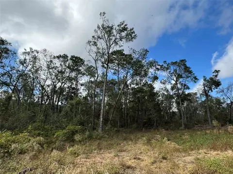 143 Rd Dr, O Brien, FL 32071 photo 2