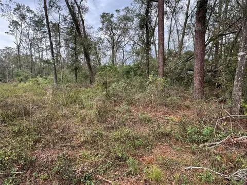 143 Rd Dr, O Brien, FL 32071 photo 4