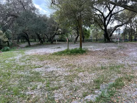 Chameleon Road, Pierson, FL 32180