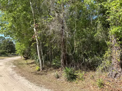 Airport Road, Astor, FL 32102