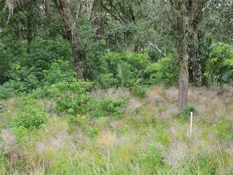 Blackburn Road, Pierson, FL 32180