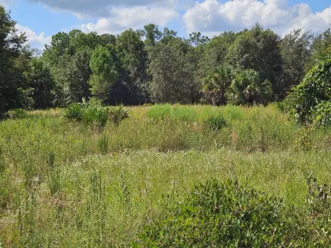 Harper Road, Pierson, FL 32180