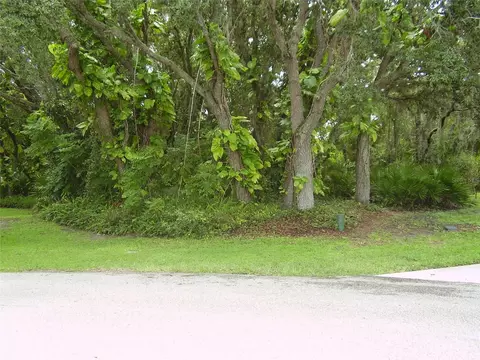 410 Anise Pl, Kissimmee, FL 34759