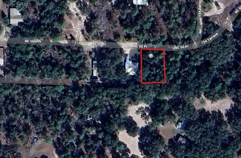 NE 50 Place, Williston, FL 32696