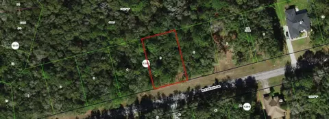 10205 N Athenia Dr, Citrus Springs, FL 34434