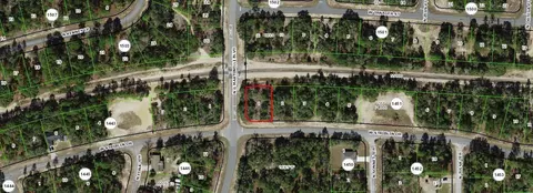 11241 N G Martinelli Blvd, Citrus Springs, FL 34433