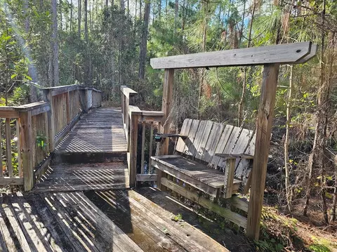 804 Shell Harbor Rd, Pierson, FL 32180 photo 15