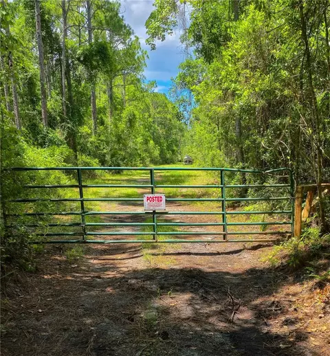 804 Shell Harbor Rd, Pierson, FL 32180 photo 4