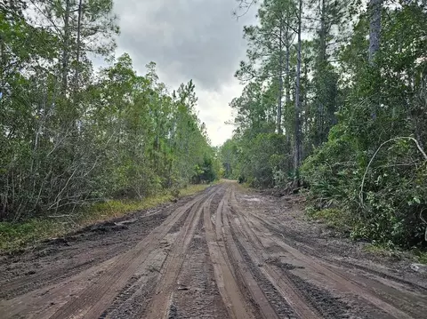 804 Shell Harbor Rd, Pierson, FL 32180 photo 12