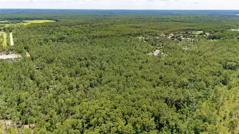 804 Shell Harbor Rd, Pierson, FL 32180 photo 30