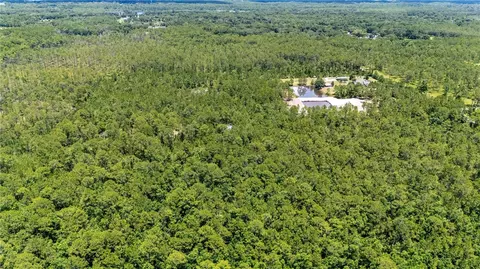 804 Shell Harbor Rd, Pierson, FL 32180 photo 27