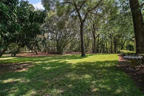 Exterior - 35350 County Road 439, Eustis, FL 32736 photo 10 of 11