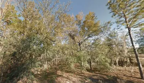 NE 154th Avenue, Williston, FL 32696