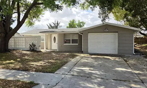5440 Riddle Rd, Holiday, FL 34690