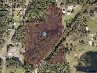 County Road 445a, Astor, FL 32102