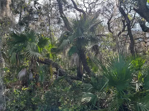 County Road 445a, Astor, FL 32102 photo 2