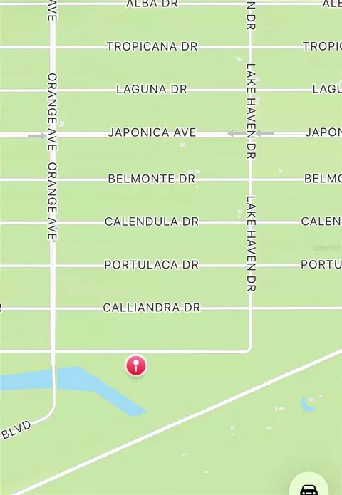 Althea Drive, Lake Wales, FL 33898