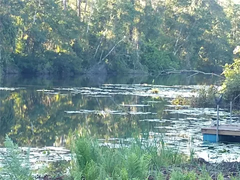 0000 Eagle Blvd, Land O Lakes, FL 34639