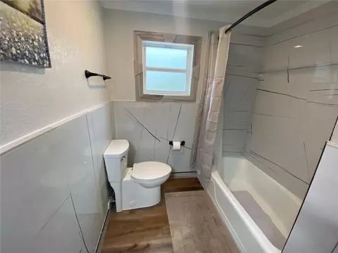 Bath - 1645 Spring Garden Dr, Astor, FL 32102 photo 4 of 6
