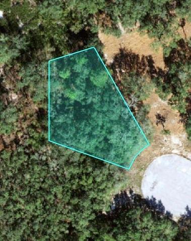 121 Warmouth Ln, Poinciana, FL 34759
